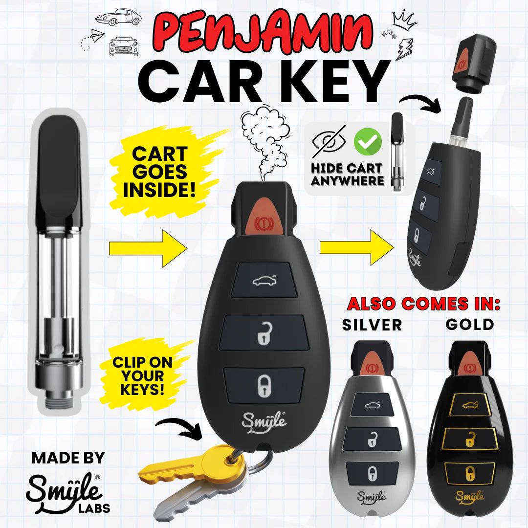 Smile Labs – Penjamin llaves de carro Bateria